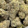 Sour Runtz