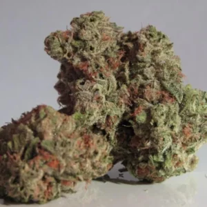 Sativa