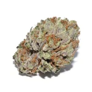 Indica