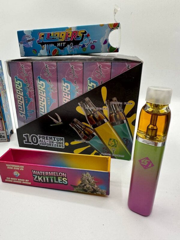 Sluggers Hit 2g Disposable